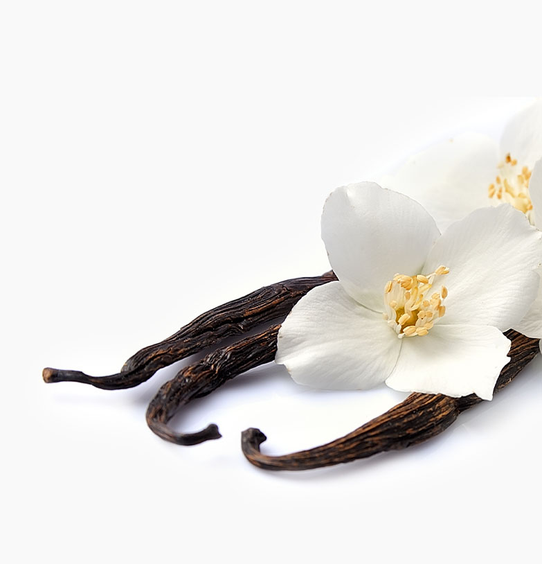 Vanilka aroma
